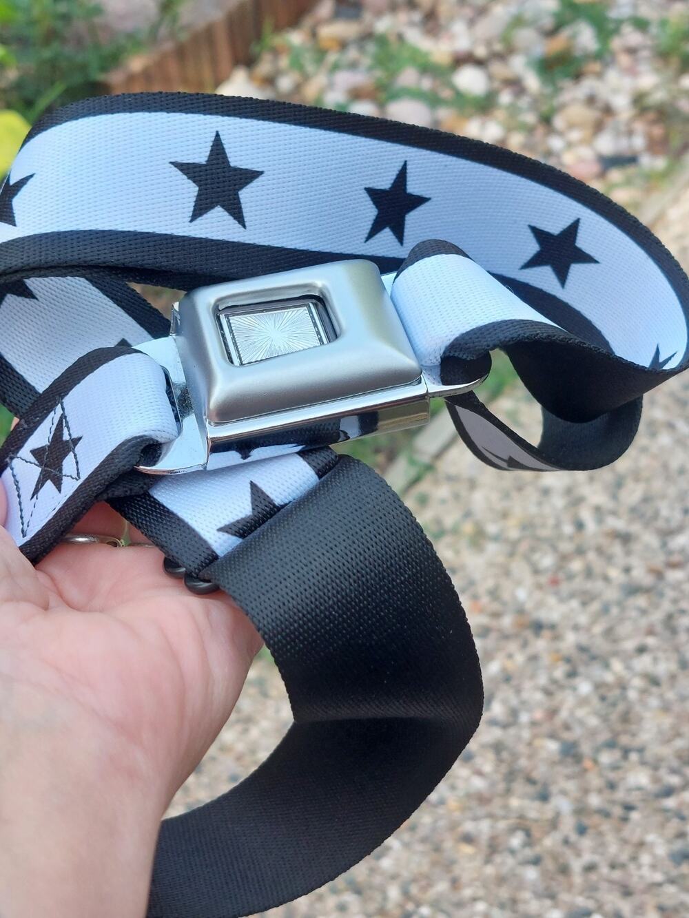 Buckle Down BD Seat Belt Style Belt 1.5" Wide- 24-38 Inches Black/White Stars